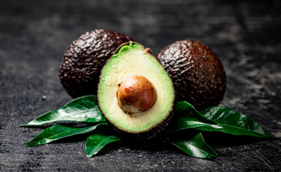 Avocado