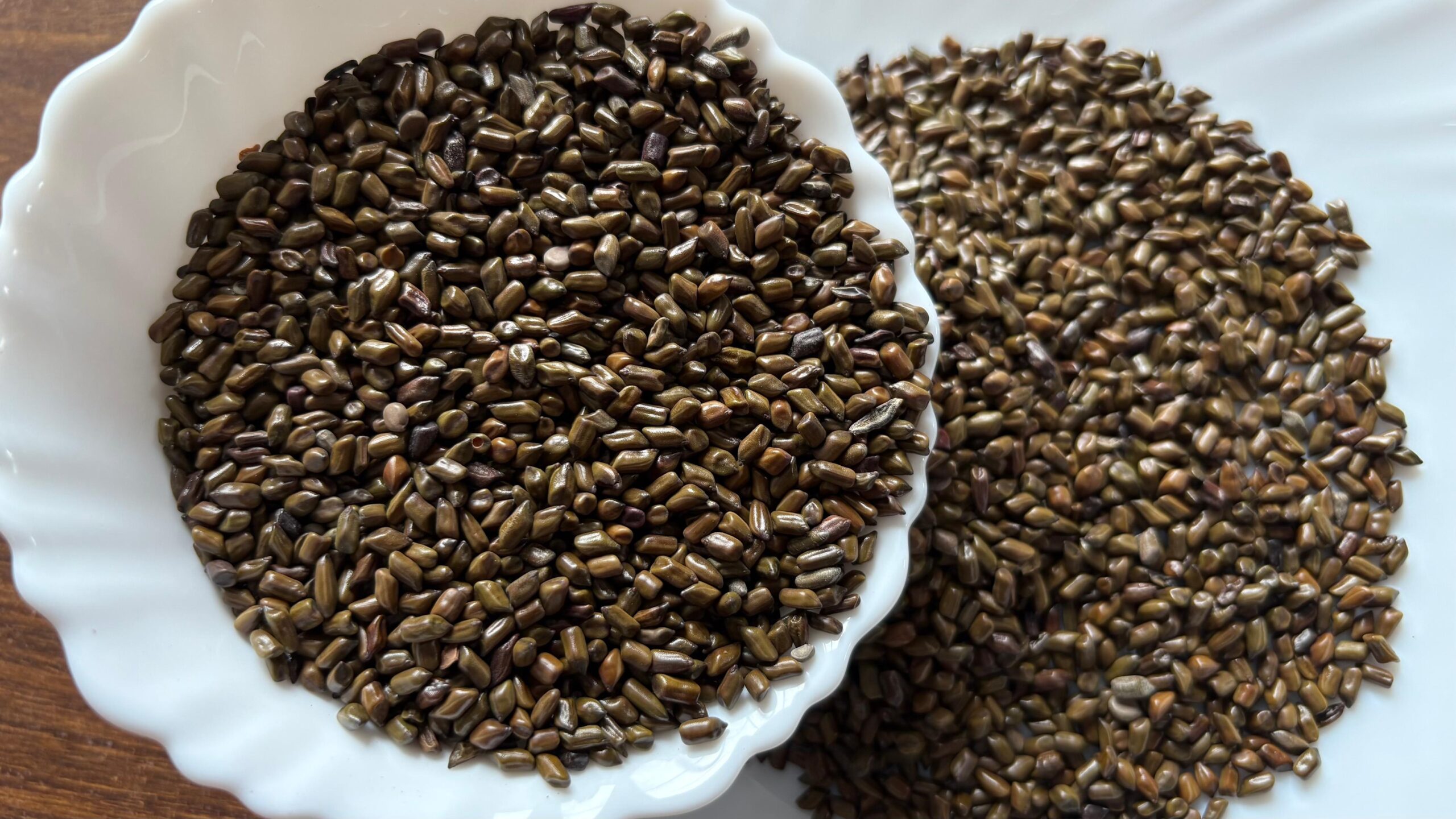 Cassia Seeds