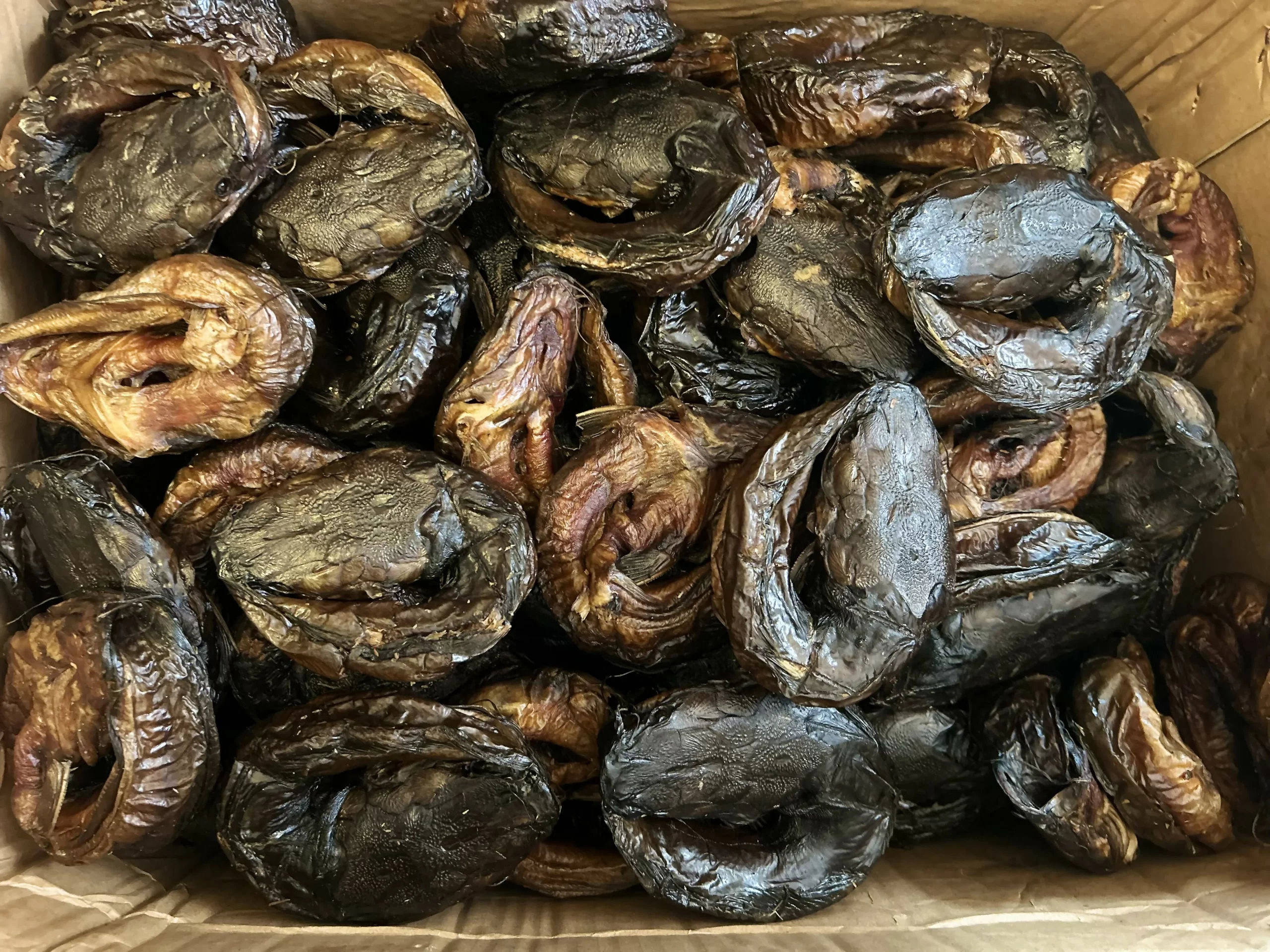 Bulk dried catfish whole smoked dark brown sun dried African catfish for seafood export commodity photography