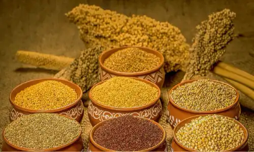 Assorted millet varieties in traditional clay bowls with millet stalks on burlap for grain commodity product photography
