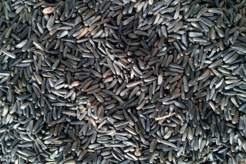 Close-up of raw niger seeds Indian hay dark oilseeds bulk pile for agricultural commodity product photography