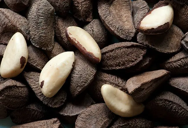 brazil-nuts