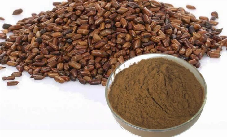 Cassia tora seeds and powder close-up high quality senna tora product